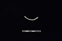 陶環藏品圖，第2張